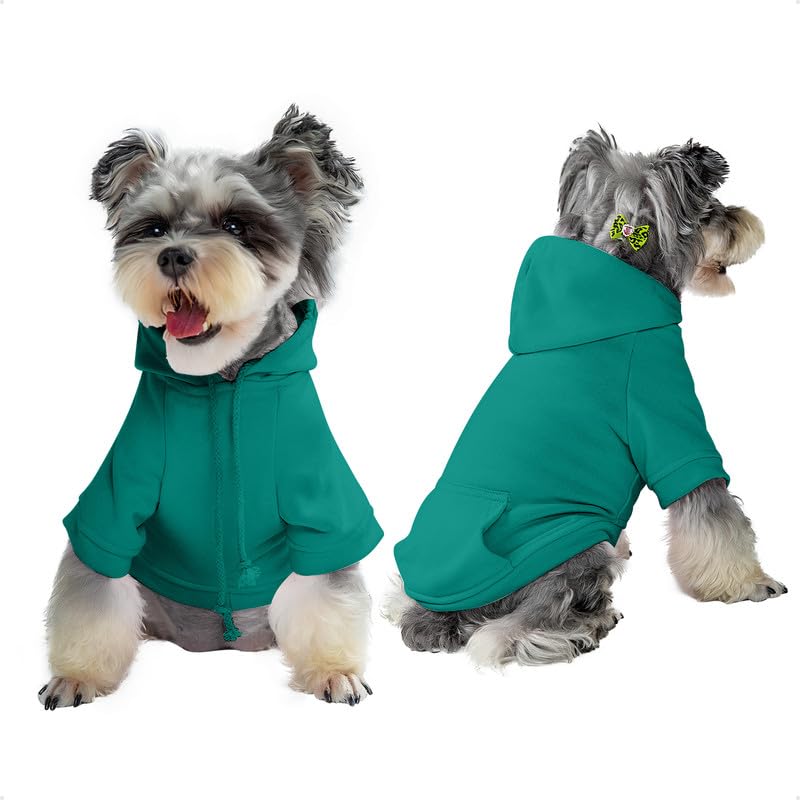 Bluebird Dog Hoodie - Cozy Pet Clothes for Small Dogs with Hood & Pockets | Warm Sweatshirt for Winter Walks & Outdoor Adventures