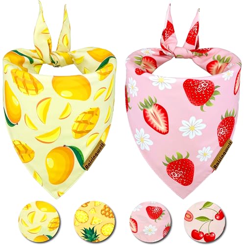 Fruit