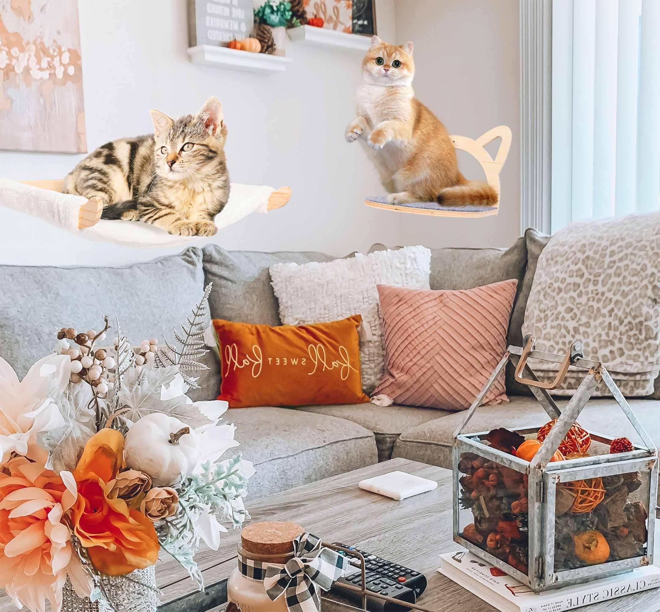 Defined Deco Cat Wall Shelves - Wall Mounted Cat Perches with XXL Hammock & 2 Climbing Steps, Multi-Level Cat Furniture with Scratching Mat for Play, Sleep & Lounge - Perfect for Indoor Cat Climbing, Resting & Exercise in Small Spaces