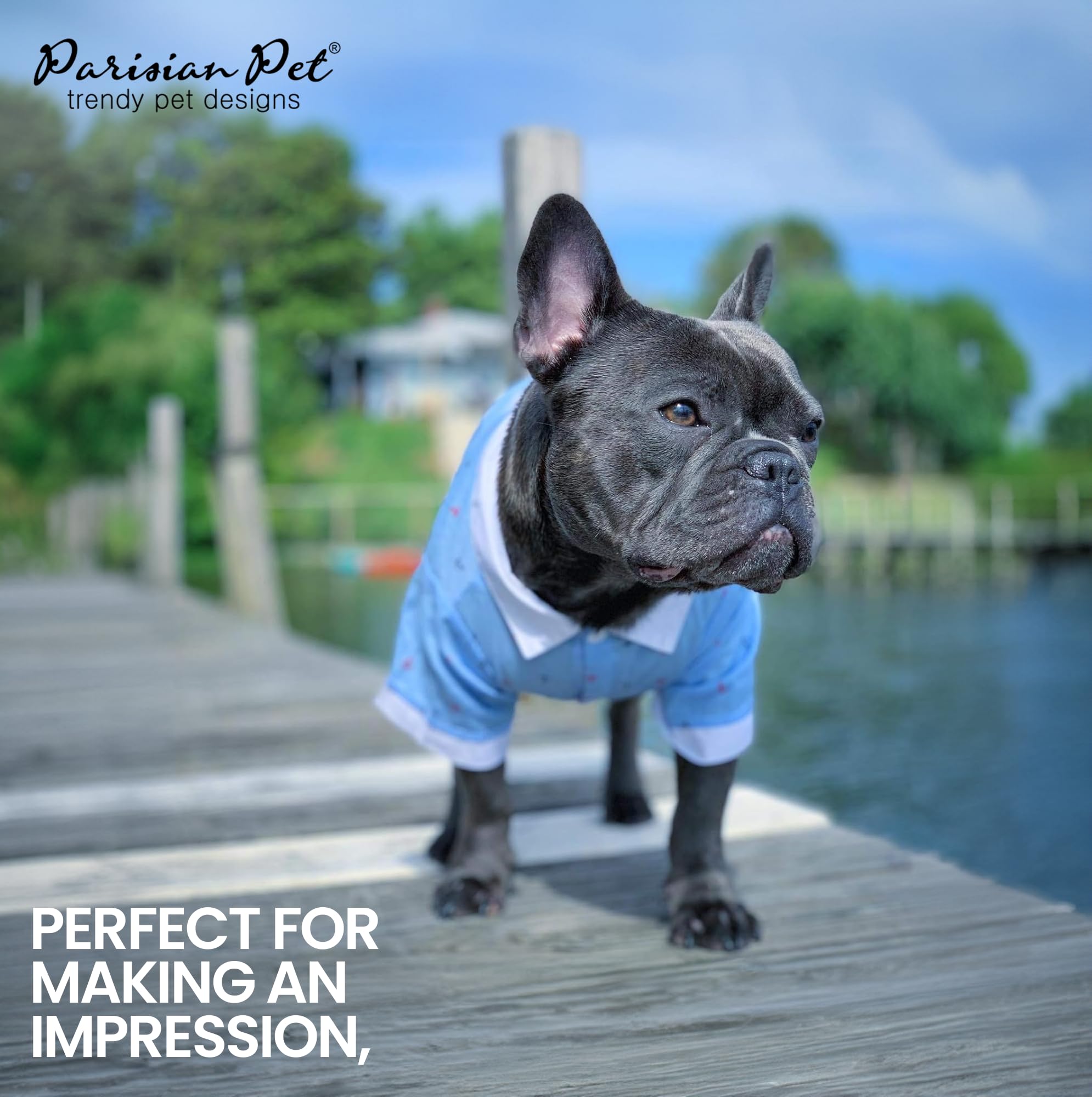 Parisian Pet Dog Shirt - 100% Cotton Nautical Costume with Anchor Design - Blue & White Sleeved Dog Clothes for Medium Dogs - Perfect for Beach Outings, Boat Trips & Themed Parties