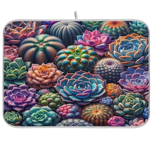 Colorful Succulents 02