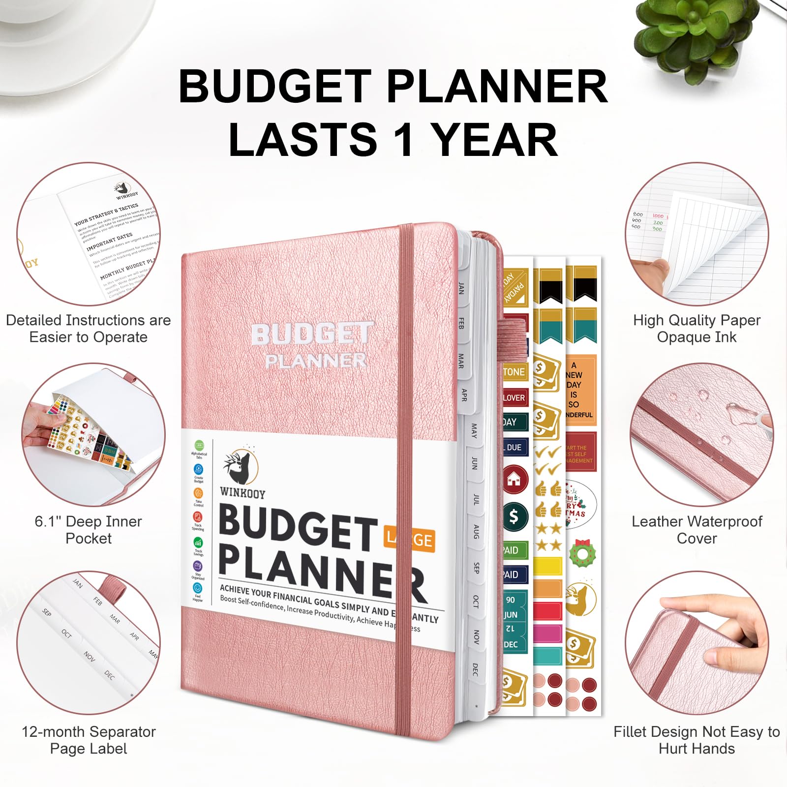 2025 Budget Planner - 7