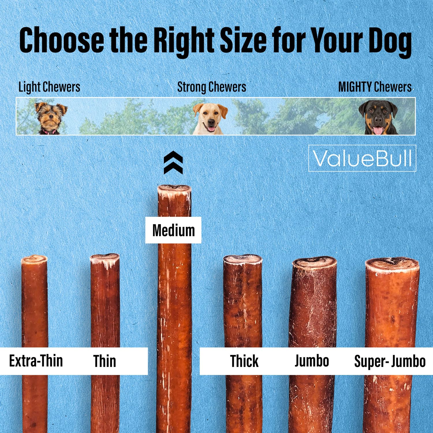 ValueBull Natural Bully Sticks for Dogs - 12 Inch Medium Size, 25 Count, 100% Beef Pizzle Dog Treats, Single Ingredient Rawhide Alternative - Perfect for Training, Chewing & Dental Health
