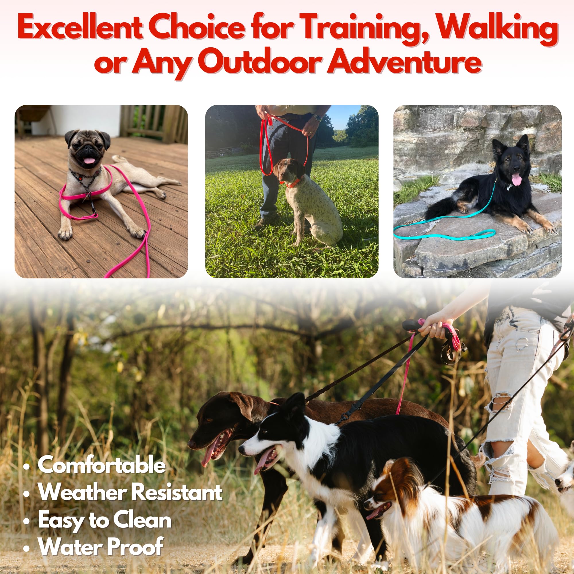 Premium Biothane Gummy Dog Leash - 6FT Waterproof & Weatherproof Training Leash for Small, Medium & Large Dogs | Durable Pet Walking Accessory for Outdoor Adventures, Hiking & Daily Walks