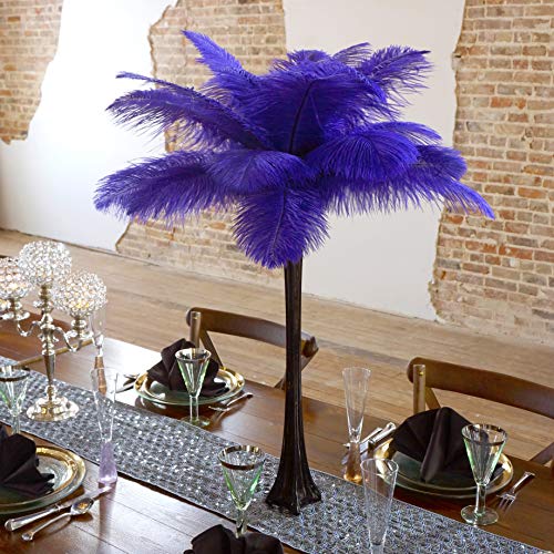 Black Vase/Regal Feathers