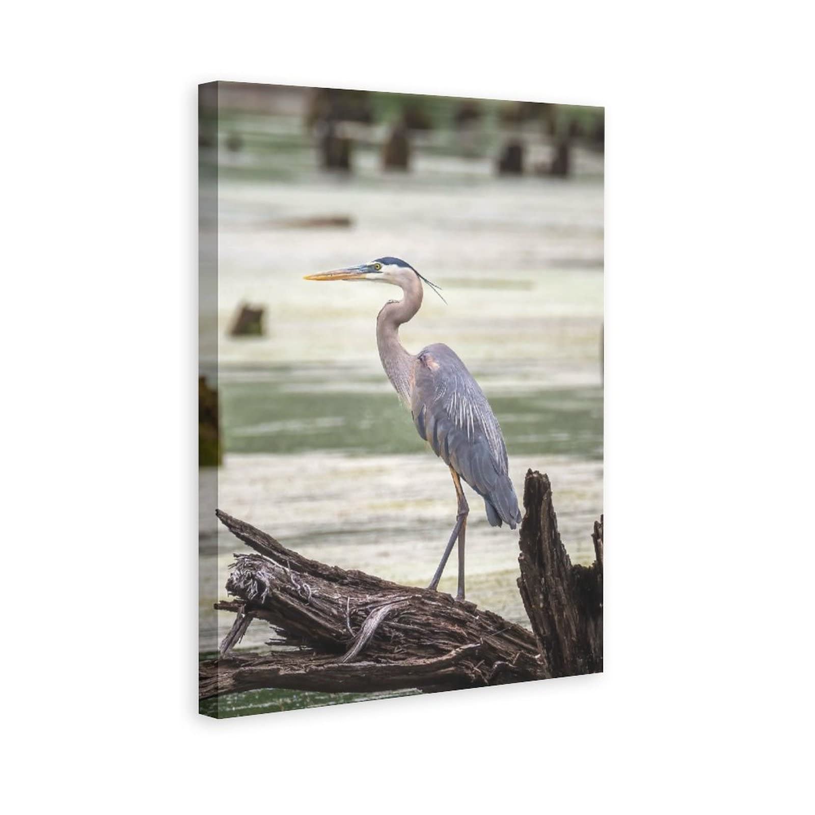 Great Blue Heron Wetlands Bird Canvas Wall Art - 8x12 Inches (20x30cm) Nature Landscape Painting for Living Room, Bedroom & Office Decor - Perfect Gift for Bird Lovers & Home Decoration