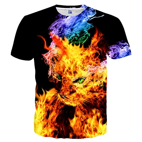 Flame
