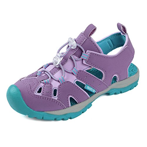 Purple/Blue