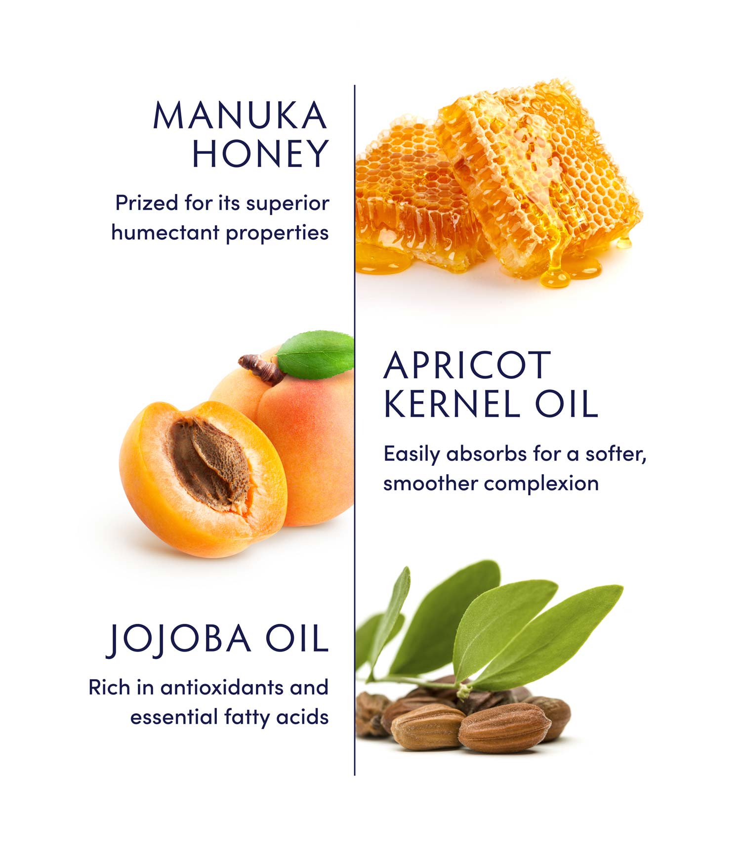 Pure Manuka Honey Whipped Body Oil - Natural Moisturizer for Dry Skin, Face & Hair Care - Perfect for Massage, Aromatherapy & Daily Hydration