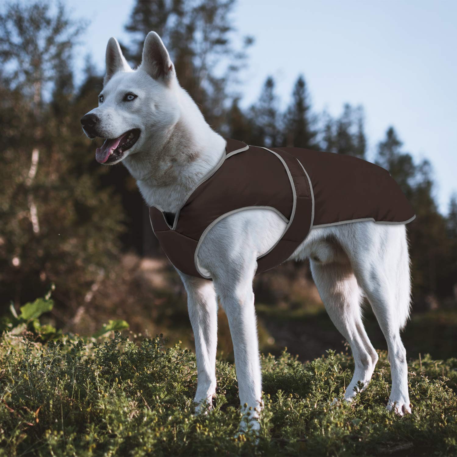 MIGOHI Reflective Dog Coat - Waterproof Windproof Winter Jacket for Small Medium Large Dogs, Fleece Lined Reversible Snowsuit with Stormguard Technology - Keep Your Pet Warm & Safe in Cold Weather, Snowy Walks & Outdoor Adventures