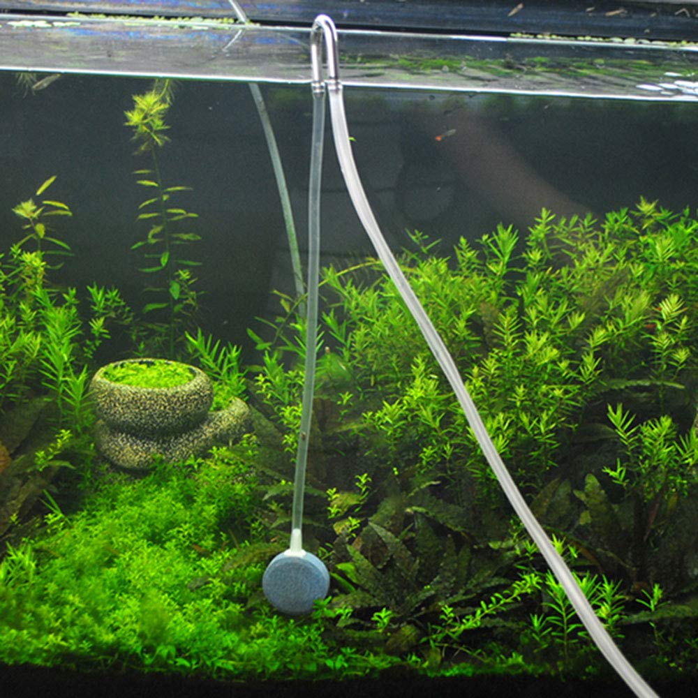 Maxmoral Stainless Steel U-Shape Aquarium Connectors - Fish Tank Air Pump & CO2 System Accessories for Freshwater & Saltwater Tanks - Perfect for Bubble Walls, Air Stones & Protein Skimmers