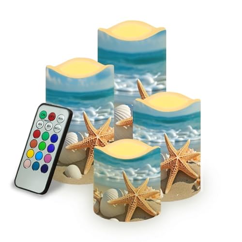 Beach Starfish