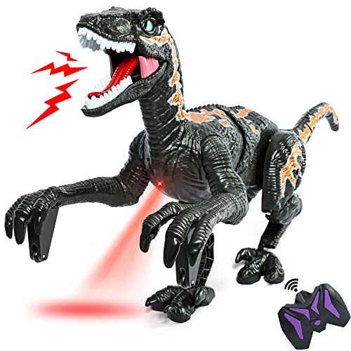Black Velociraptor Toys