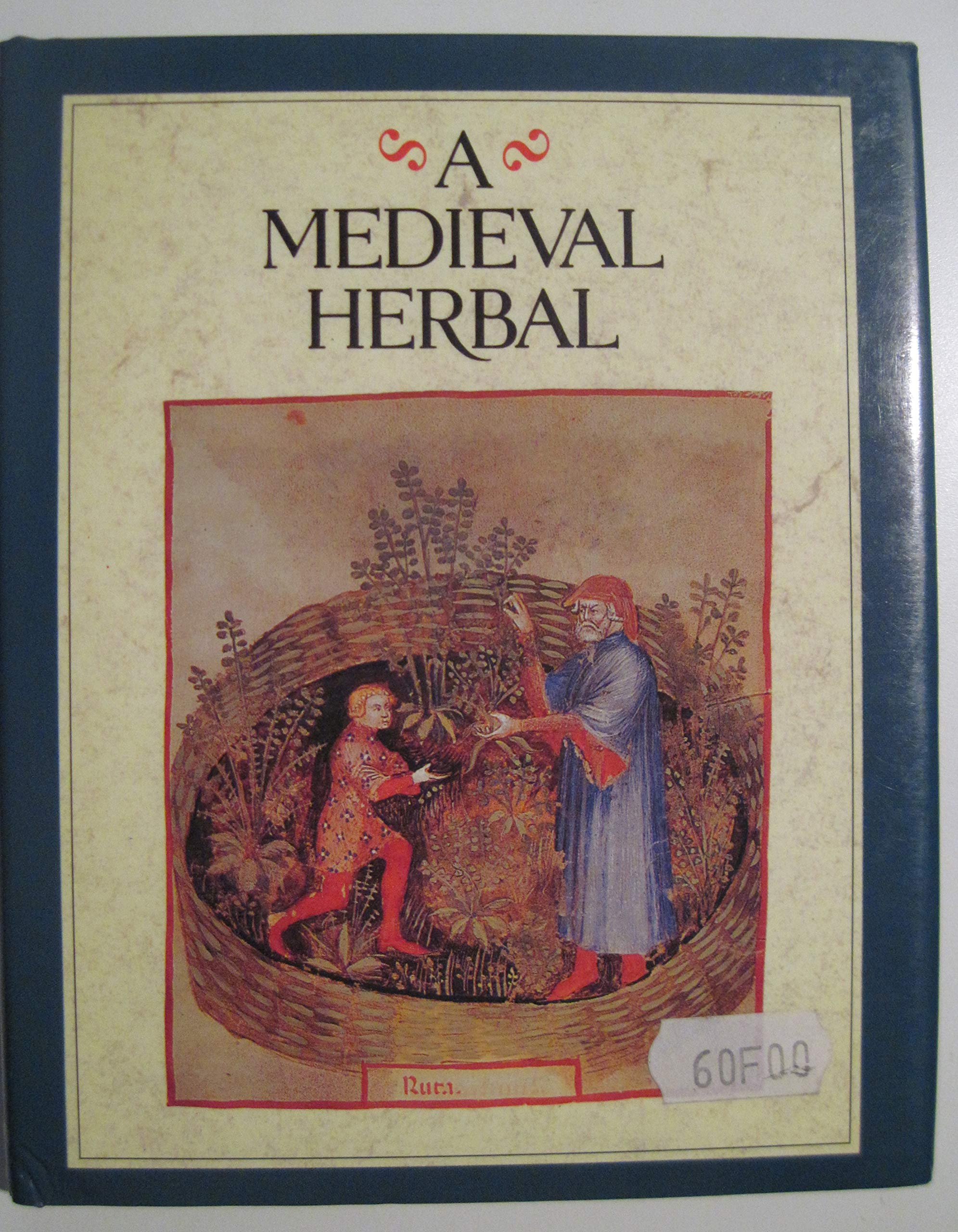 Medieval Herbal Garden Kit - Grow Your Own Authentic Medieval Herbs for Cooking, Tea & Natural Remedies | Perfect for History Enthusiasts & Home Gardeners