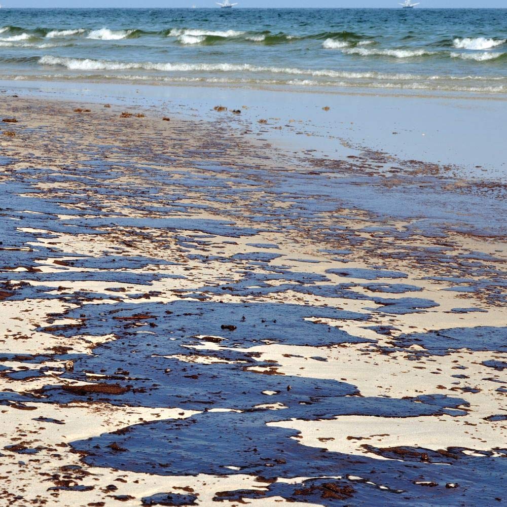 Oil Spill Bioremediation 3D Science Kit - Conduct & Analyze Controlled Oil Biodegradation Experiments | STEM Educational Tool for Environmental Science Labs & Classroom Projects