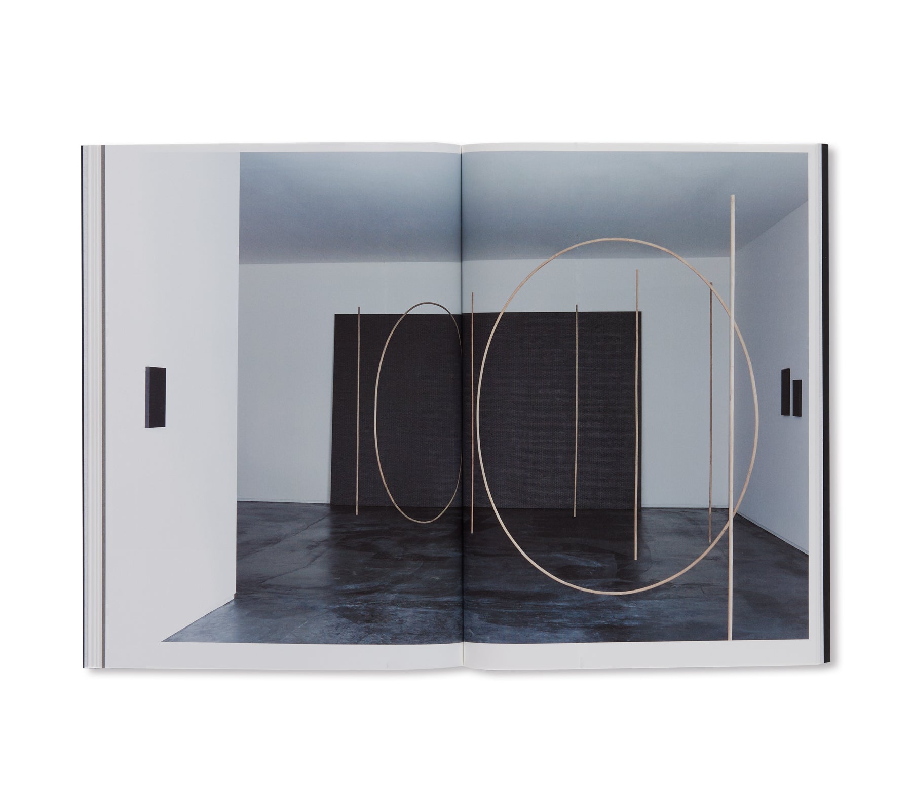 MARIA TANIGUCHI Art Collection by Maria Taniguchi - Contemporary Paintings & Sculptures for Modern Home Decor & Office Spaces
