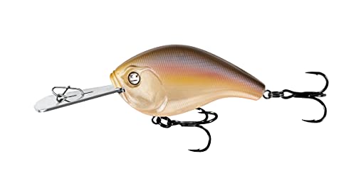 Regurgitated Shad