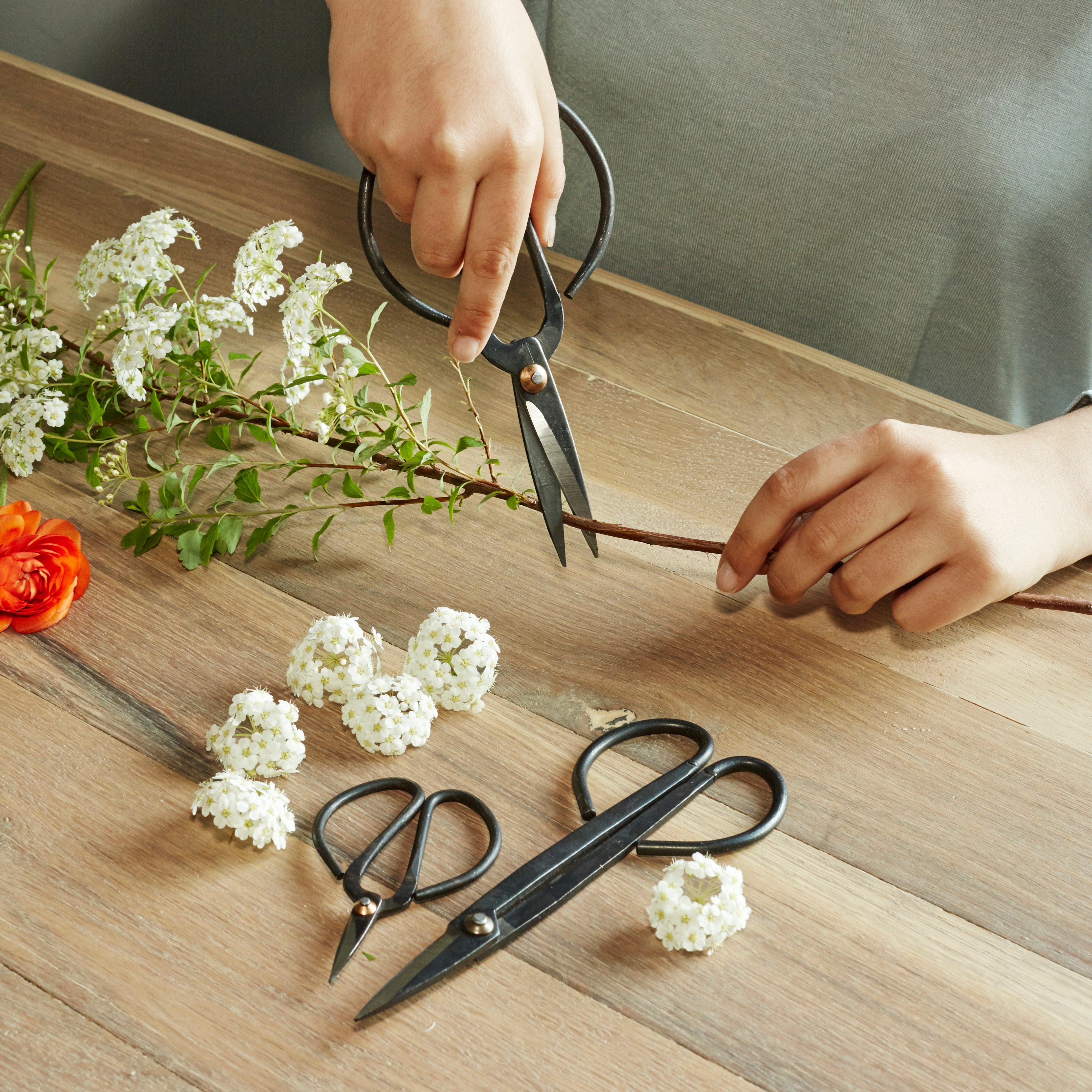 Premium Garden Shears Set - Professional Pruning Shears, Hedge Clippers & Gardening Scissors for Plants, Flowers, Shrubs - Ideal for Landscaping, Lawn Care & Outdoor Gardening Tools