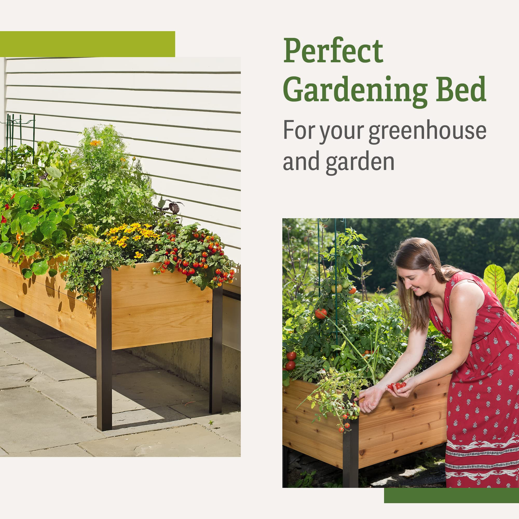 Premium Cedar Raised Garden Bed 2' x 8' - Heavy Duty Standing Planter Box with Reinforced Aluminum Corners for Vegetables, Flowers & Outdoor Plants | Perfect for Patio, Backyard & Urban Gardening | Durable Elevated Design for Easy Planting & Maintenance