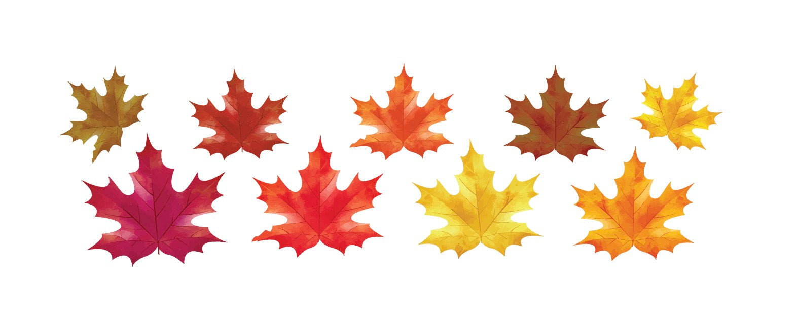 Fall Maple Leaves Decals - Premium Waterproof Vinyl Stickers for Home Decor, Scrapbooking, and DIY Crafts - Perfect for Autumn Season, Windows, Walls, and Laptops