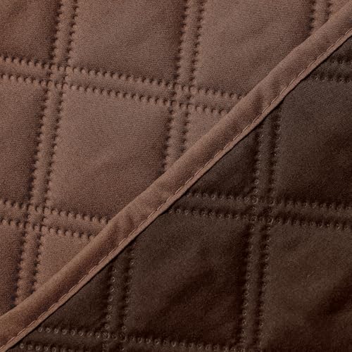 Brown/Chocolate