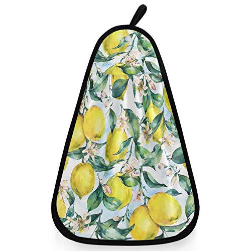 Abstract Lemon