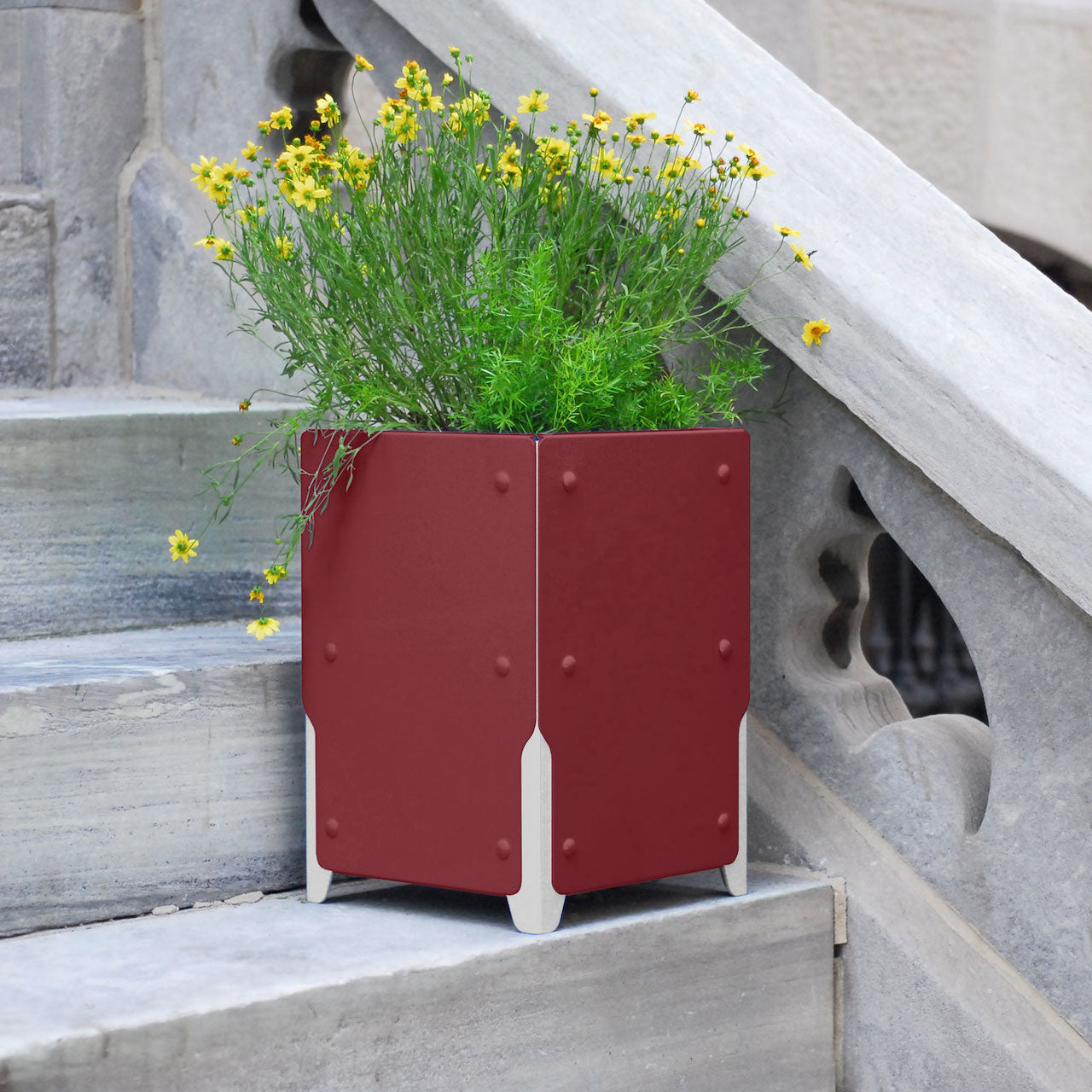 BOLTON Short Planter Set of 4 - Small Indoor Flower Pots for Succulents, Herbs & Plants - Perfect for Windowsill, Kitchen, Office & Home Decor