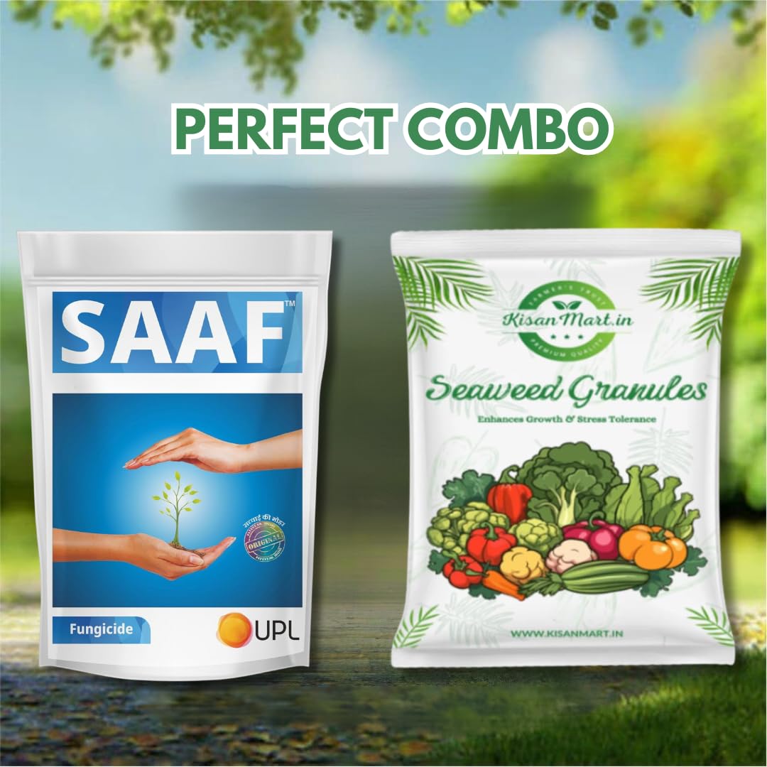 Organic Seaweed Granules 100g & 250g Combo - Natural Plant Growth Booster, Bio-Stimulant & Nutrient-Rich Fertilizer for Healthy Gardens, Lawns & Houseplants | Perfect for Organic Farming, Hydroponics & Indoor Plant Care
