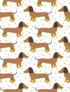 Dachshund Dog