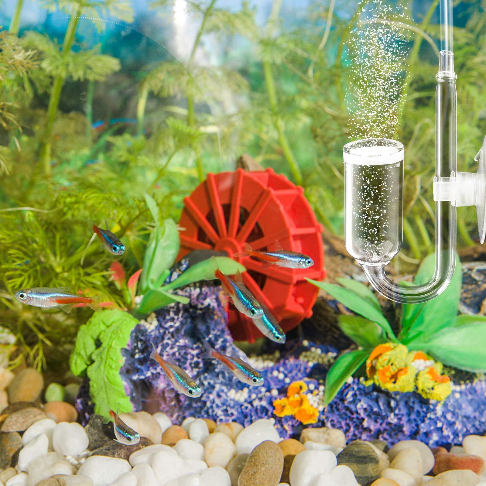 U Shape CO2 Diffuser for Aquarium Plants - Fish Tank Bubble Diffuser