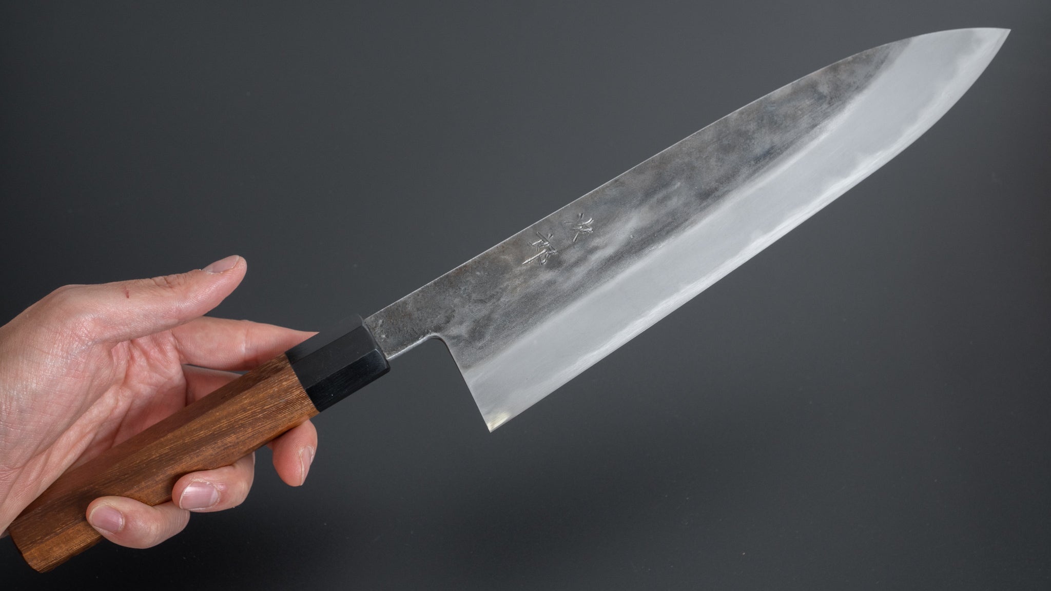 Premium Jiro Tsuchime Wa Gyuto 255mm Japanese Chef Knife with Taihei Tagayasan Handle - Perfect for Sushi, Meat Cutting & Professional Kitchen Use (#268)