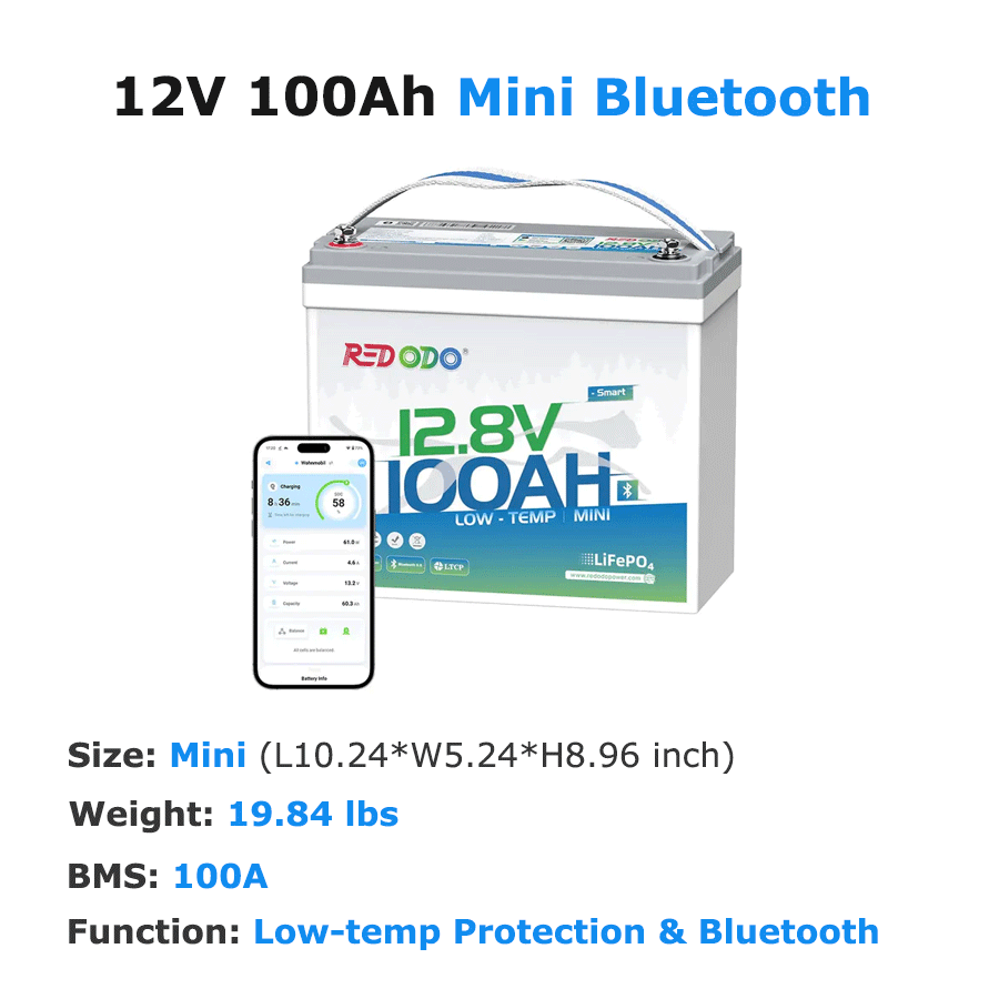 Redodo 12V 100Ah LiFePO4 Deep Cycle Battery - Solar Power, RV, Marine & Off-Grid Energy Storage Solution | Perfect for Camping, Boating & Emergency Backup Power