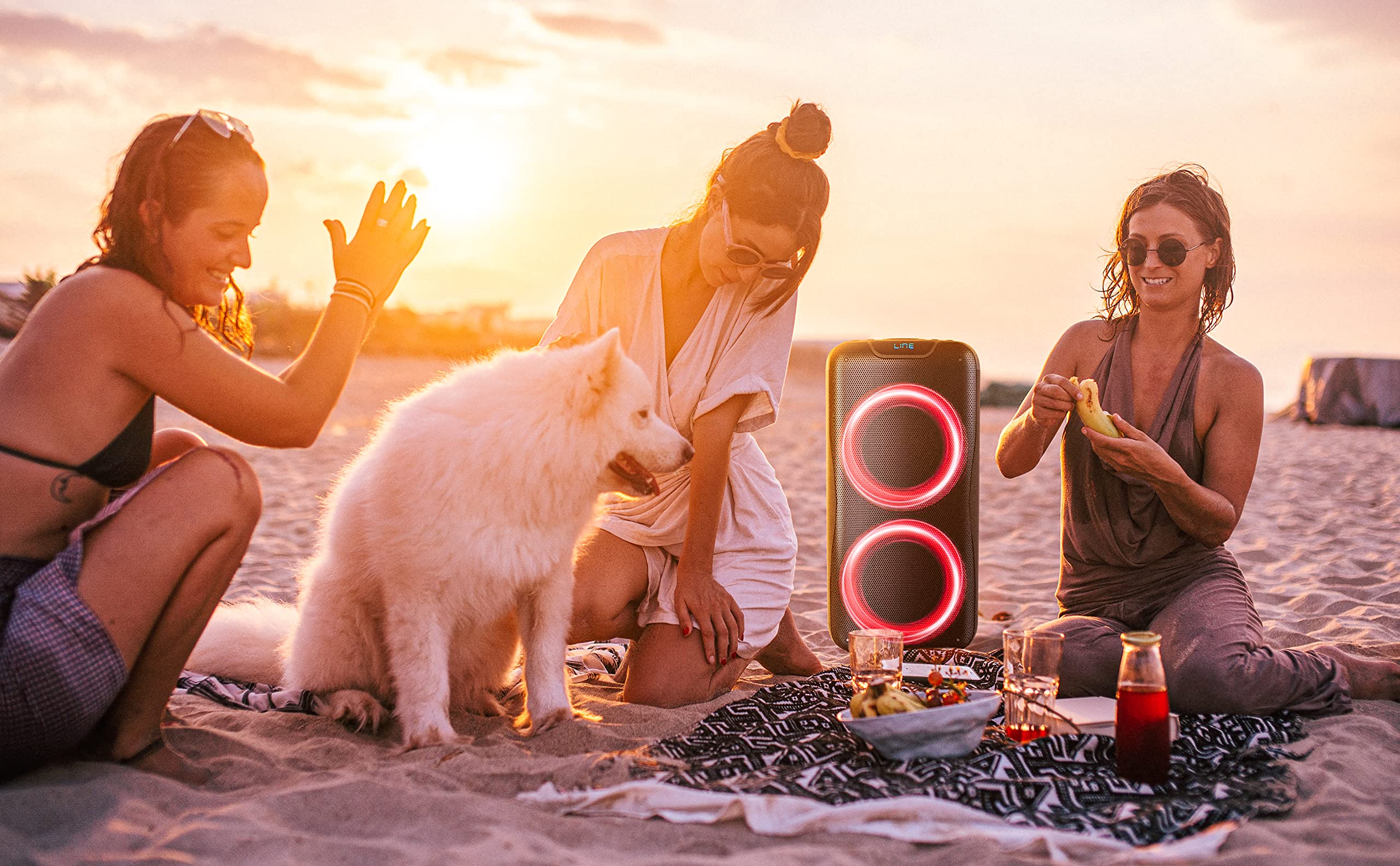 800W Portable Bluetooth Speaker with Karaoke, FM Radio, LED Lights, 2 Microphones & Remote - Perfect for Outdoor Parties, Camping & Home Entertainment