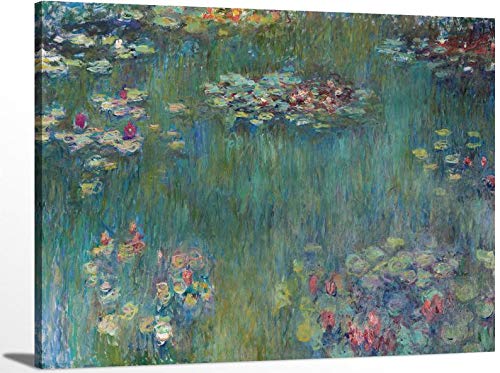 Water Lily Pond