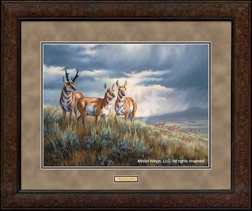 Approaching Storm - Pronghorns GNA Premium Print | High-Quality Wildlife Wall Art for Home & Office Decor | Perfect for Living Room, Bedroom, or Office