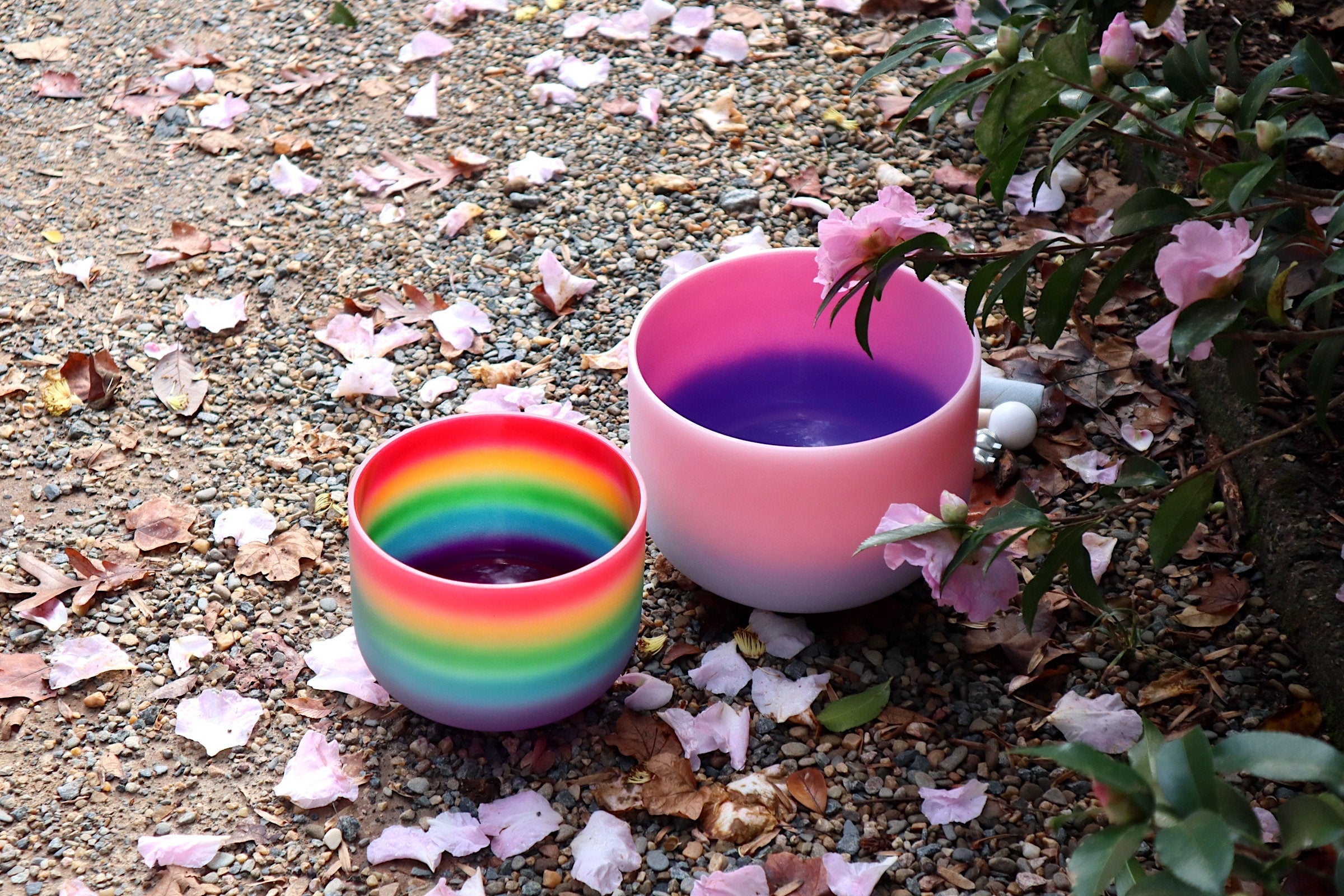 432Hz & 528Hz Solfeggio Crystal Singing Bowl Set - 8