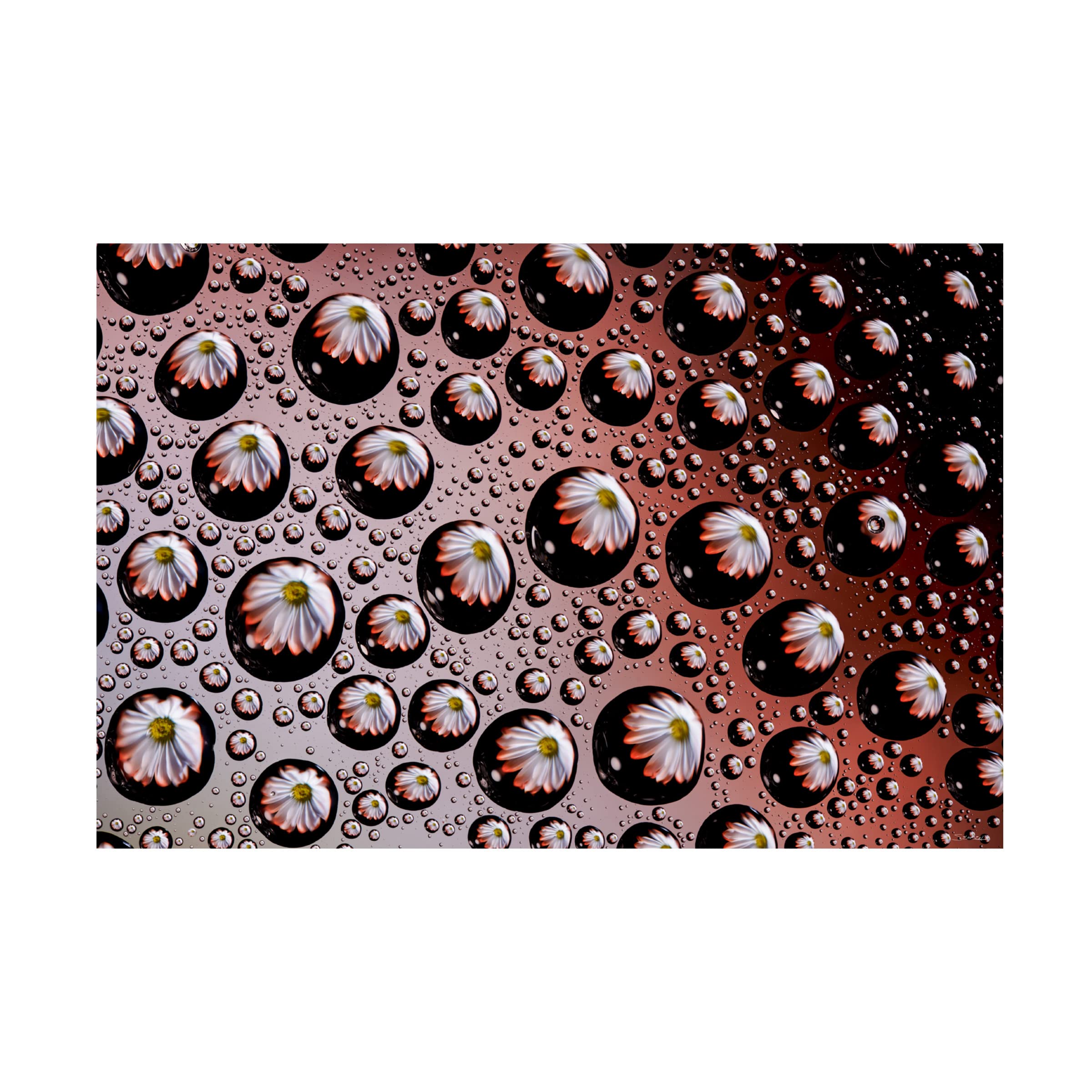 Gordon Semmens 'Window Drops 02' Canvas Wall Art Print - 16x24 Inches - Modern Abstract Painting for Living Room, Bedroom & Office Decor