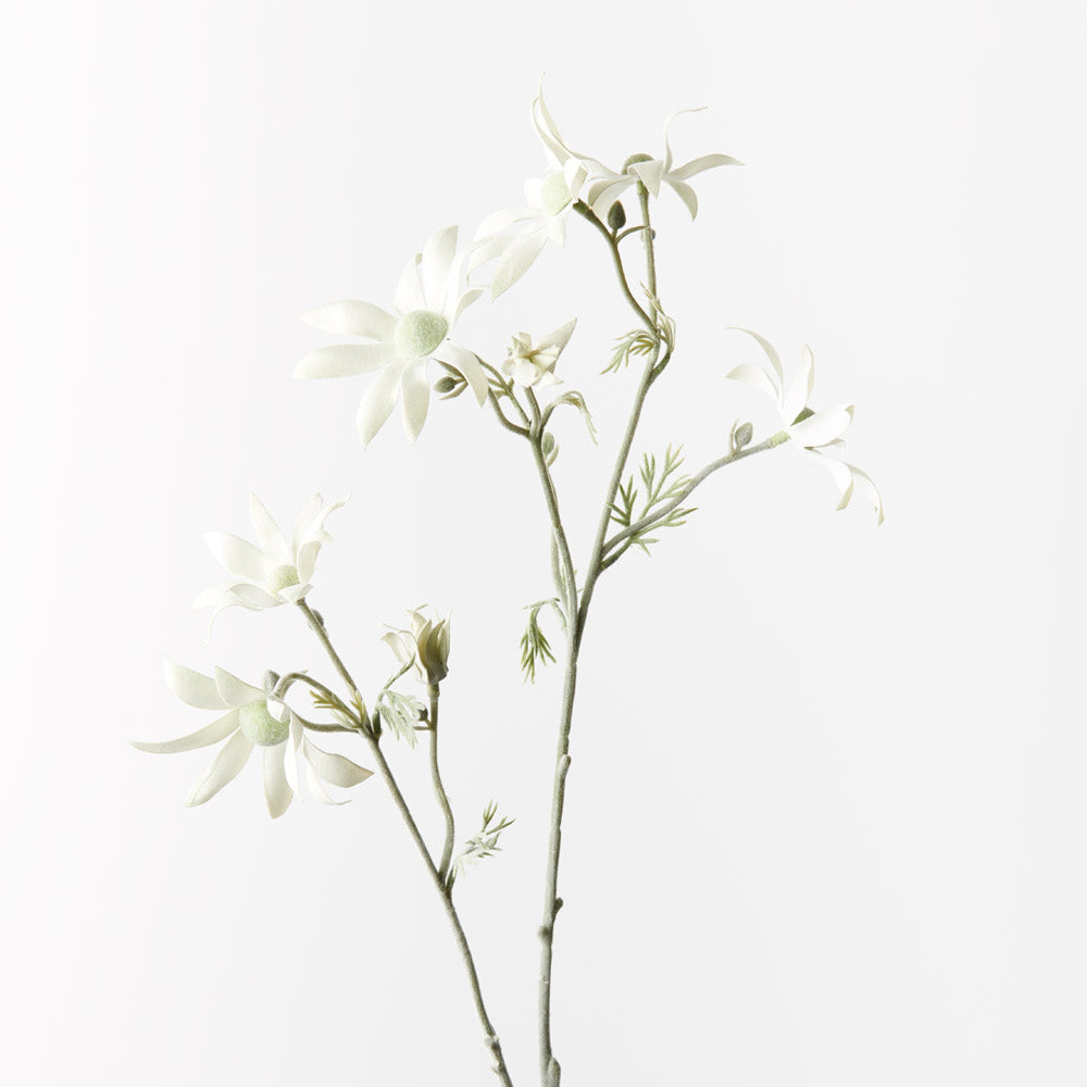 Premium Flannel Flower (Tall) - Elegant Home Decor for Living Room, Bedroom & Office | Perfect for Bouquets, Centerpieces & Gifts