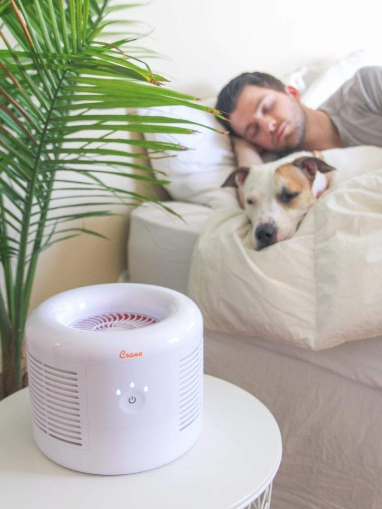 Crane 2.5 PPM True HEPA Air Purifier for Home, Office & Bedroom - Filters Allergens, Dust, Smoke & Pet Dander - Quiet Air Cleaner for Allergy & Asthma Relief (White)
