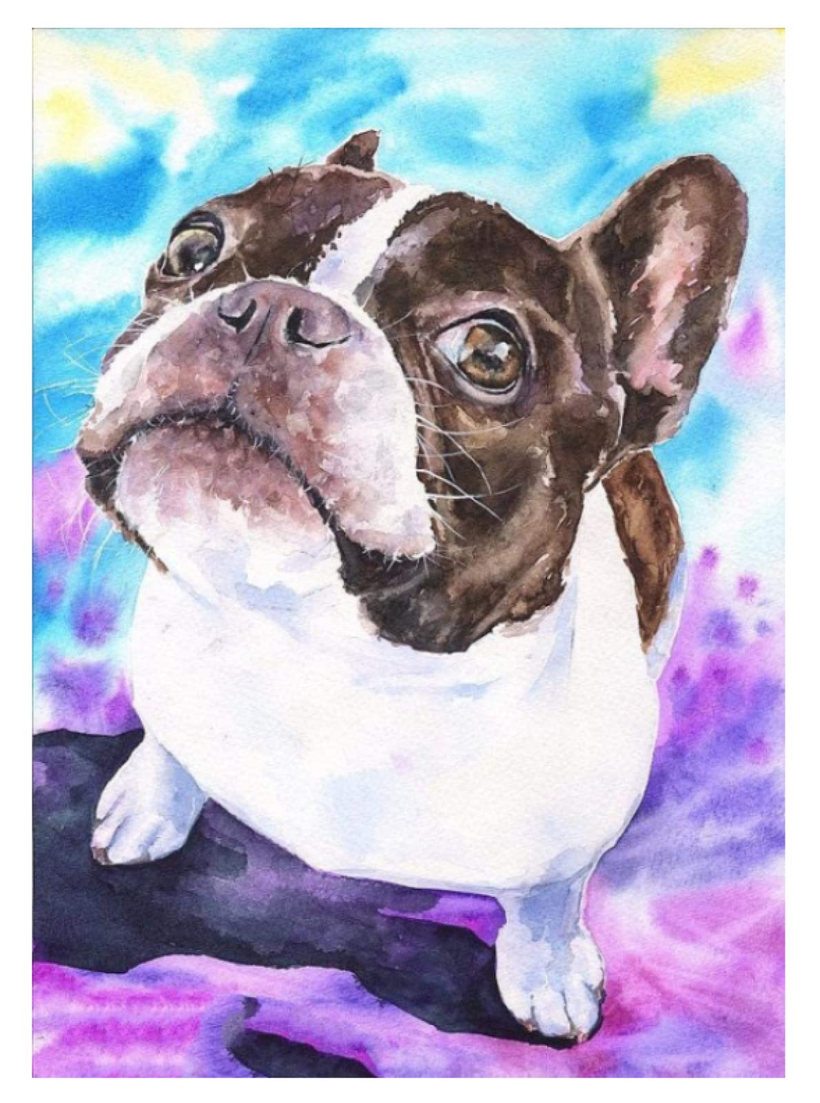 DIY Oil Painting by Numbers Kit - Boston Terrier Dog Portrait, Modern Wall Art for Home Decor | Perfect Holiday Gift for Pet Lovers & Art Enthusiasts | Relaxing Creative Activity for Adults & Teens