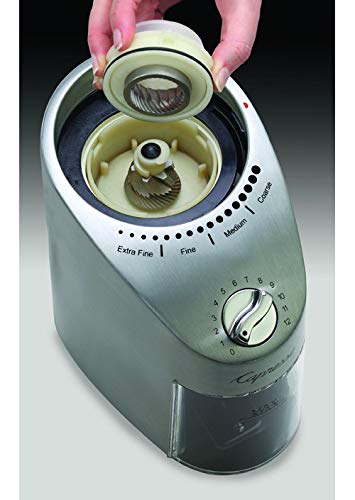 Capresso 575.05 Infinity Plus Conical Burr Coffee Grinder - Stainless Steel Bundle with East Coast Blend Coffee Beans & Cleaning Brush | Perfect for Home Brewing, Espresso Making & Coffee Enthusiasts