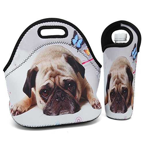 Cute Pug