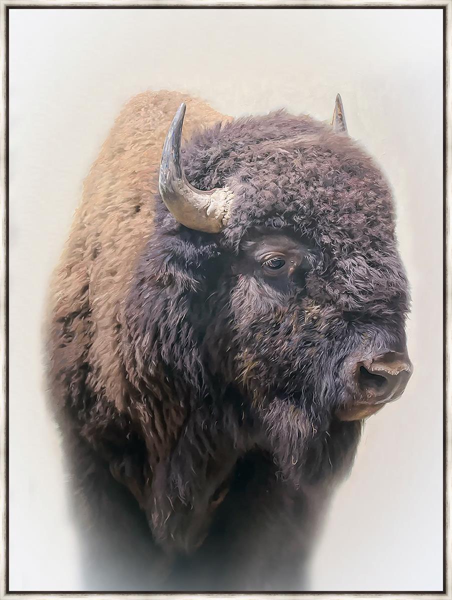 Bison Large Wall Art - Stunning Bison Canvas Print for Home & Office Decor | Perfect for Living Room, Bedroom, or Cabin Wall Decor