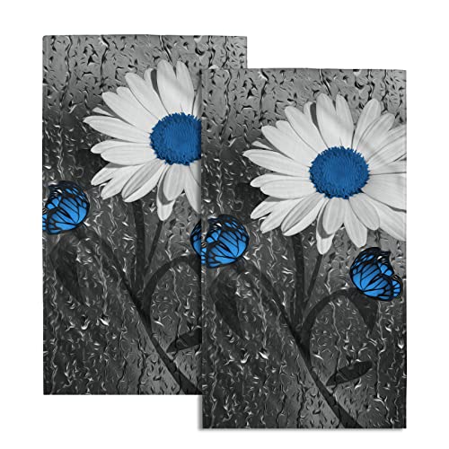 Rain Daisy