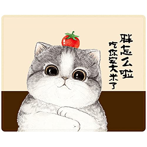 Cute Cat