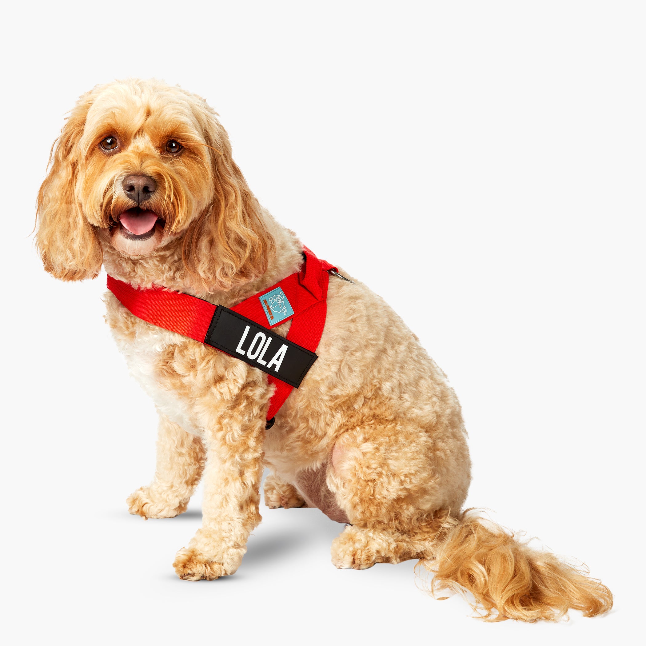 Premium No-Pull Dog Harness with Padded Chest - Adjustable & Reflective for Small to Large Dogs - Perfect for Walking, Running & Outdoor Adventures
