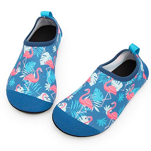 Royalblue Flamingo