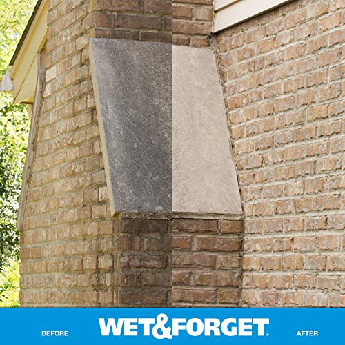 Wet & Forget Outdoor Multi-Surface Cleaner - Moss, Mold, Mildew & Algae Stain Remover | Ready-to-Use 64oz (4-Pack) | Perfect for Driveways, Patios, Roofs & Fences