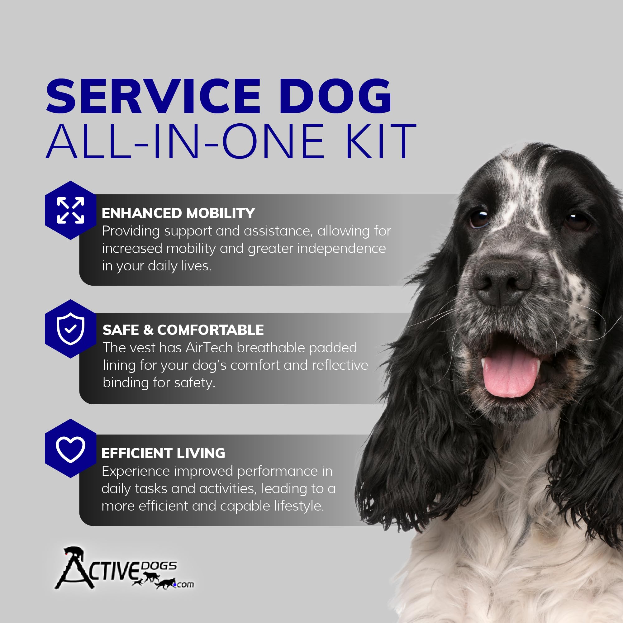 ActiveDogs Full Service Dog Kit - Large Lime - Service Vest Harness with Handle, ID Holder, ADA Cards, Medical Alert Keychain, Leash & Patches | Perfect for Service Dogs, Therapy Dogs & Emotional Support Animals | Ideal for Training, Public Access & Daily Assistance
