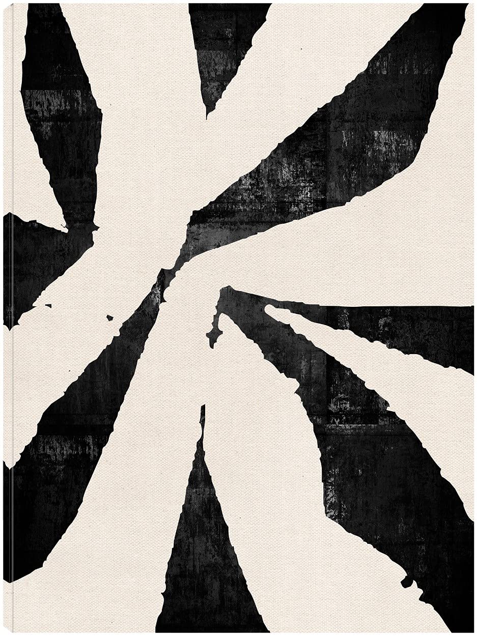 Black Star Canvas Wall Art by Nikki Chu - Modern Fine Art Print for Living Room, Bedroom, Office Decor - 24x32 Inches Ready to Hang - Perfect for Home, Kitchen, Bathroom & Dining Room Wall Decor